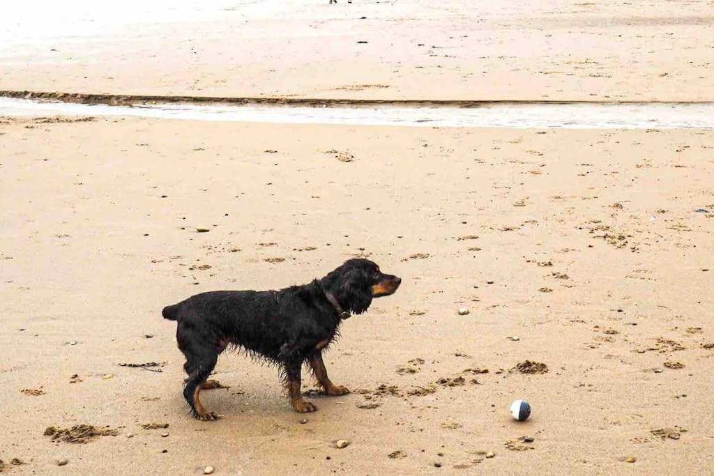 Large Cottage, Beach, Pubs Shops, Netflix, Bbq, Dog Friendly Hunmanby Luaran gambar