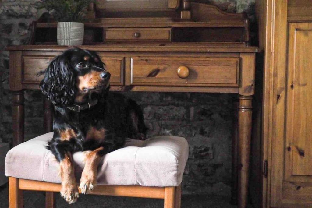 Large Cottage, Beach, Pubs Shops, Netflix, Bbq, Dog Friendly Hunmanby Luaran gambar