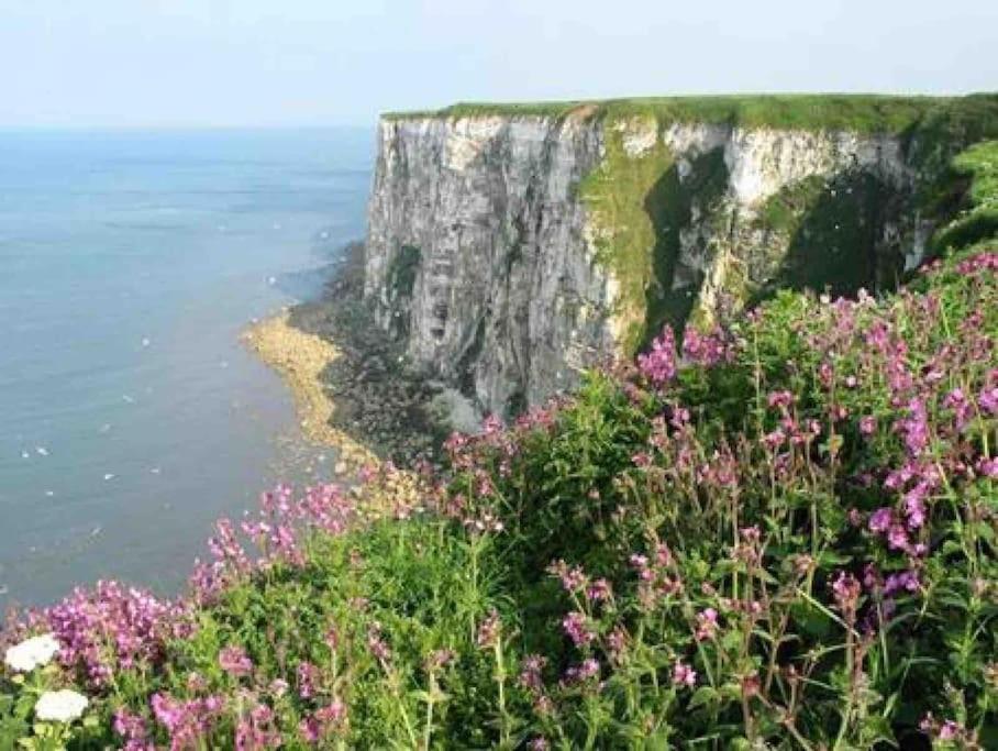 Large Cottage, Beach, Pubs Shops, Netflix, Bbq, Dog Friendly Hunmanby Luaran gambar
